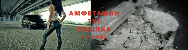 прущие грибы Арсеньев