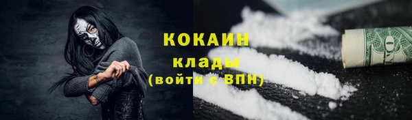 прущие грибы Арсеньев