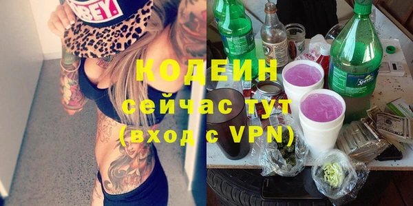 прущие грибы Арсеньев