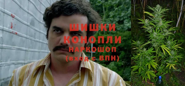 тгк Приозерск