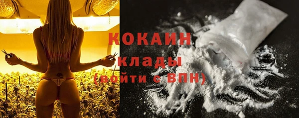 ПСИЛОЦИБИНОВЫЕ ГРИБЫ Аркадак
