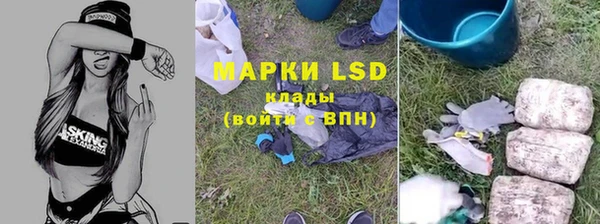 ПСИЛОЦИБИНОВЫЕ ГРИБЫ Аркадак