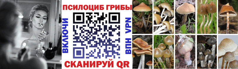 Галлюциногенные грибы мицелий  Асбест 